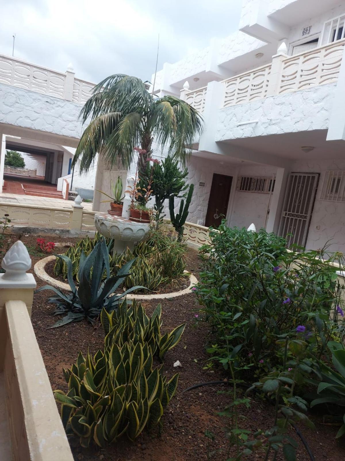 Casa Papagayo Apartamento Arona (Tenerife)